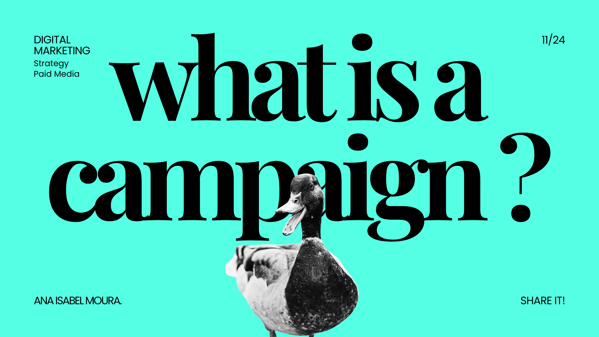 What is a Campaign?